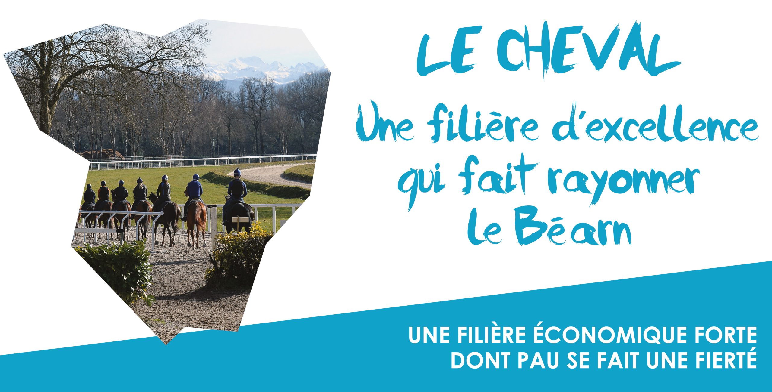 Attractivité économique en Béarn avec la filière équine