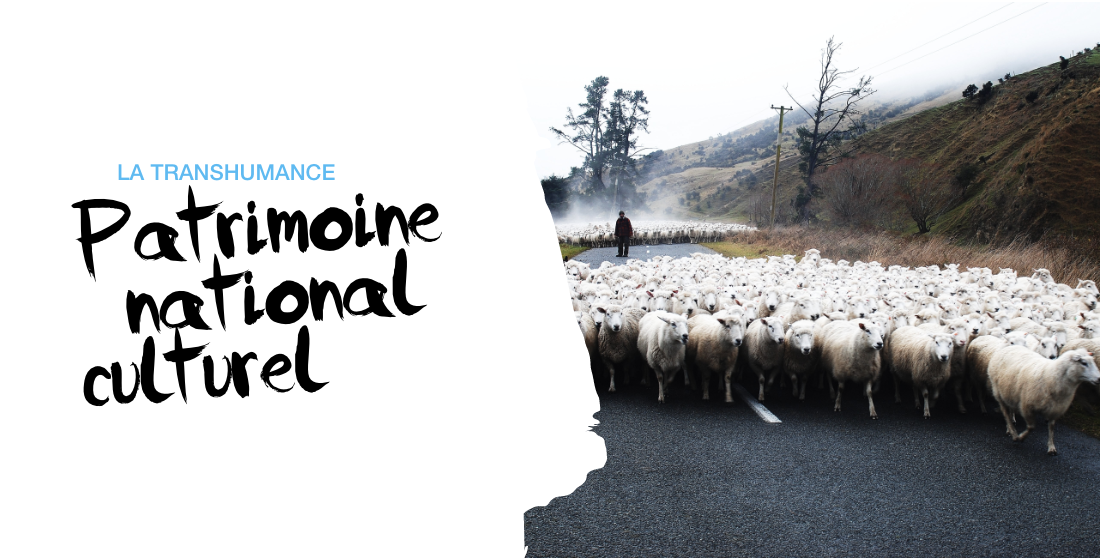 Transhumance